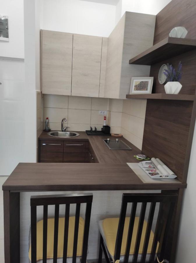 Studio Apartman Dani บันยา โควิลยาชา ภายนอก รูปภาพ